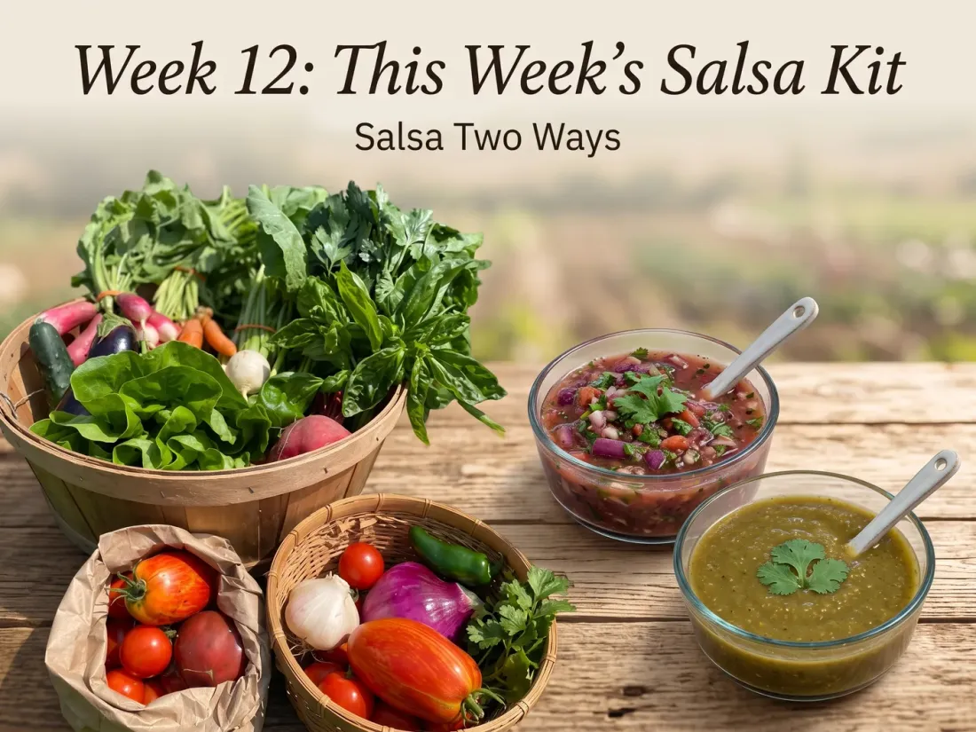 Week 12 Salsa Kit ingredients alongside two bowls of finished salsa, made two ways